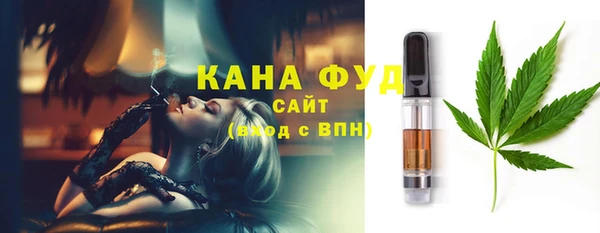 мет Алексин