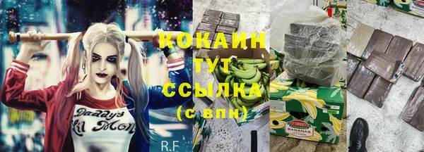сатива Алексеевка