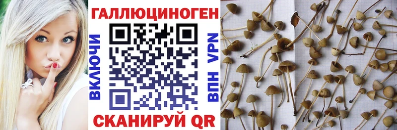 закладки  Харабали  Галлюциногенные грибы мухоморы 